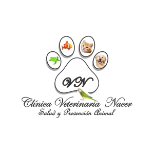 Clinica veterinaria nacer